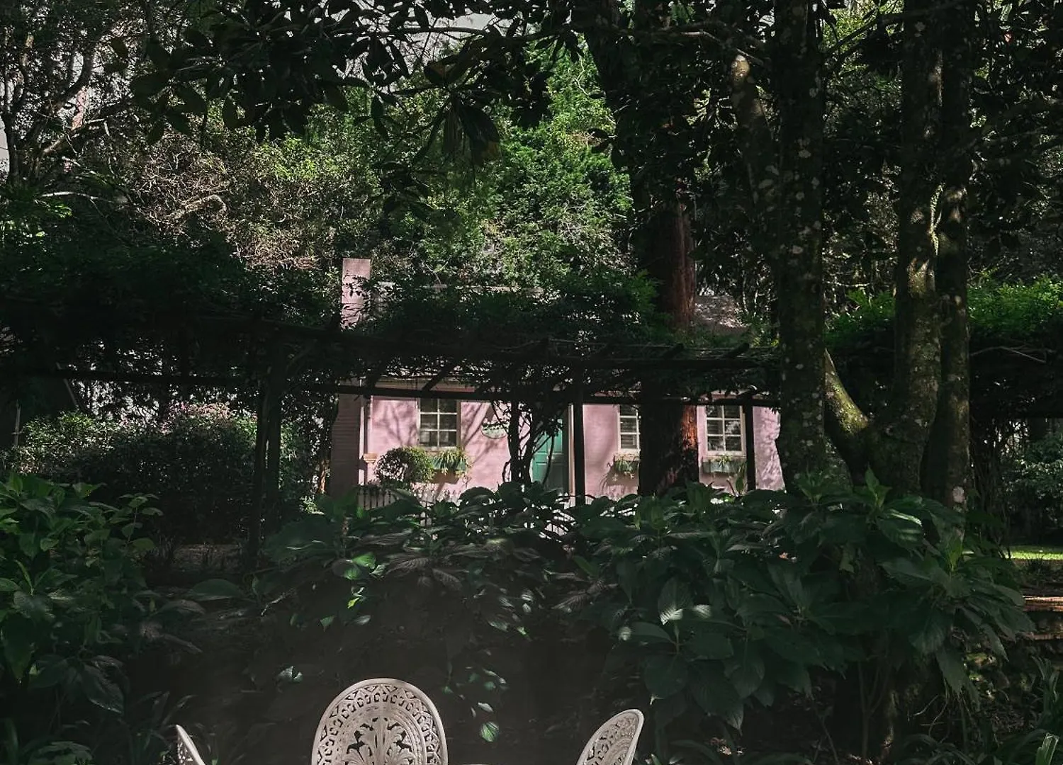 The Romantic Pink English Cottage At Tamborine Mountain Маунт-Тамборин